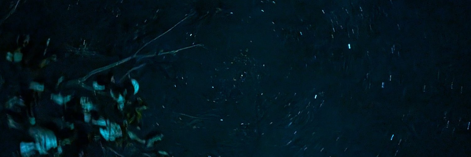 anna brodsky ☮ banner