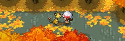 Adri 🐼🍯 banner