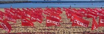 arealccoo's profile banner image