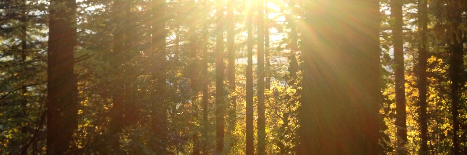 abrown88's profile banner image