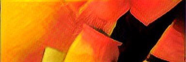 Gingermuscl's profile banner image