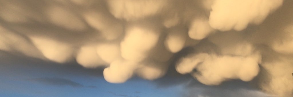 generalWHATEVER's profile banner image