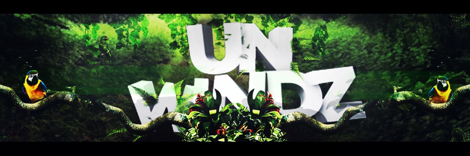 vnwindz's profile banner image