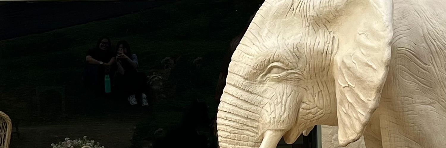 inyess_'s profile banner image