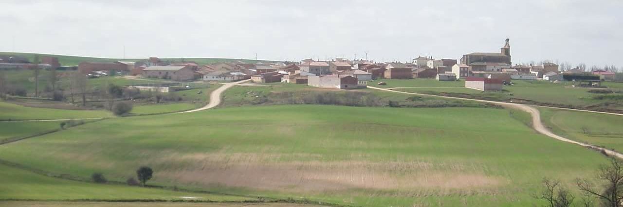 David Cantero banner