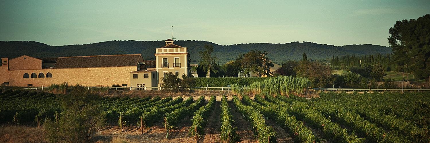 Bodega Mustiguillo banner