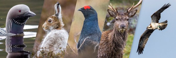 MartinClayPhoto Profile Banner