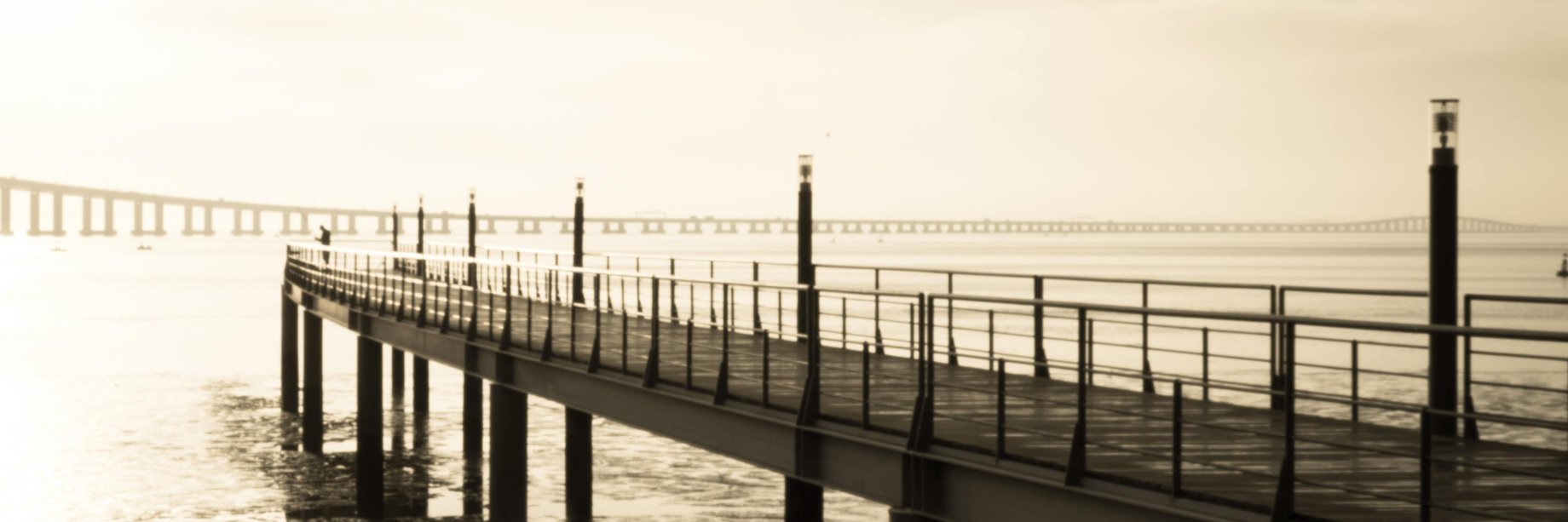 Anastasios Skarlatidis banner