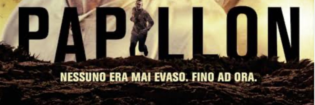 Papillonoa's profile banner image