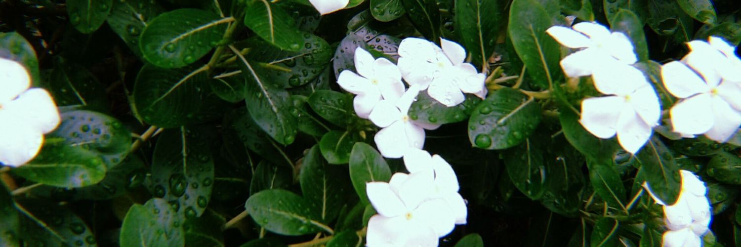 NabilaShukor's profile banner image