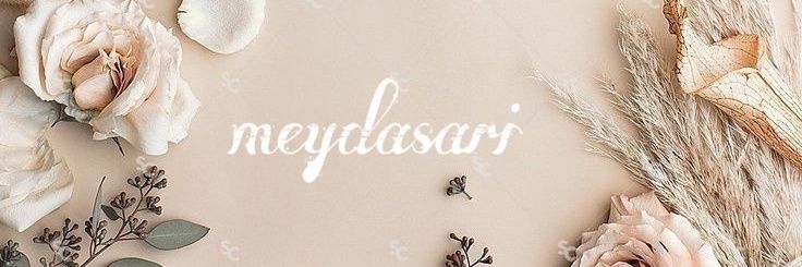 meydasari's profile banner image