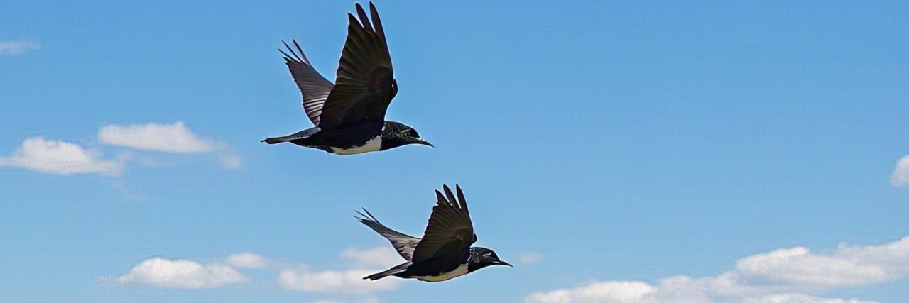 Versenad's profile banner image