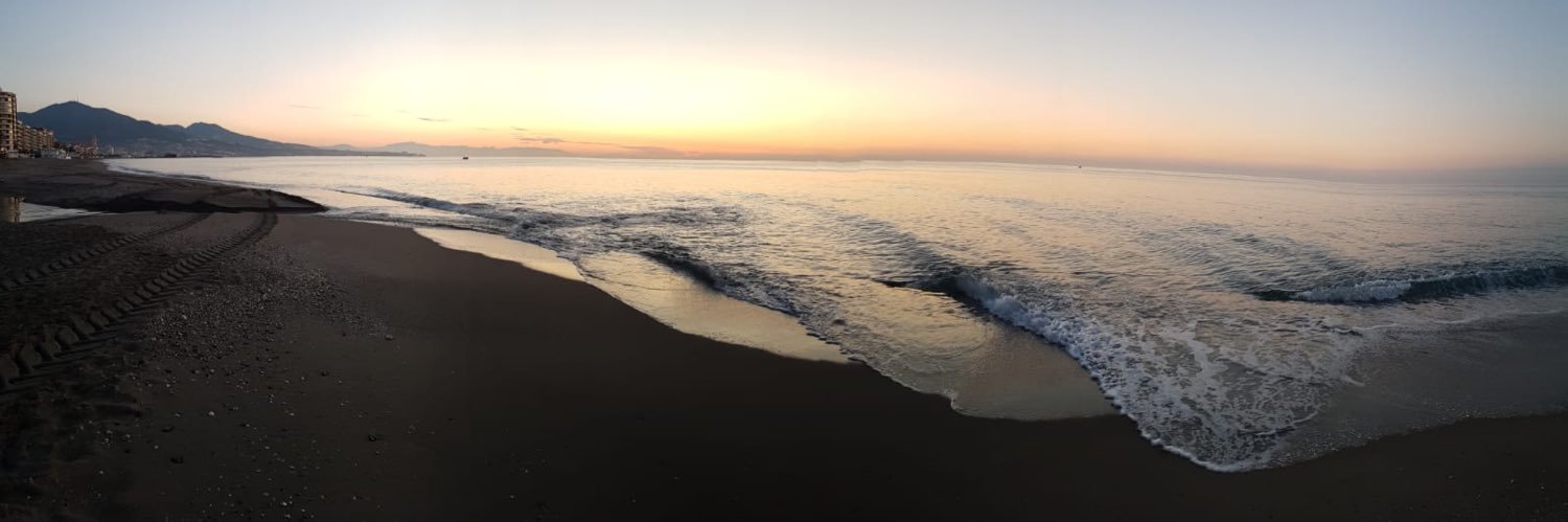 Scott Topping banner