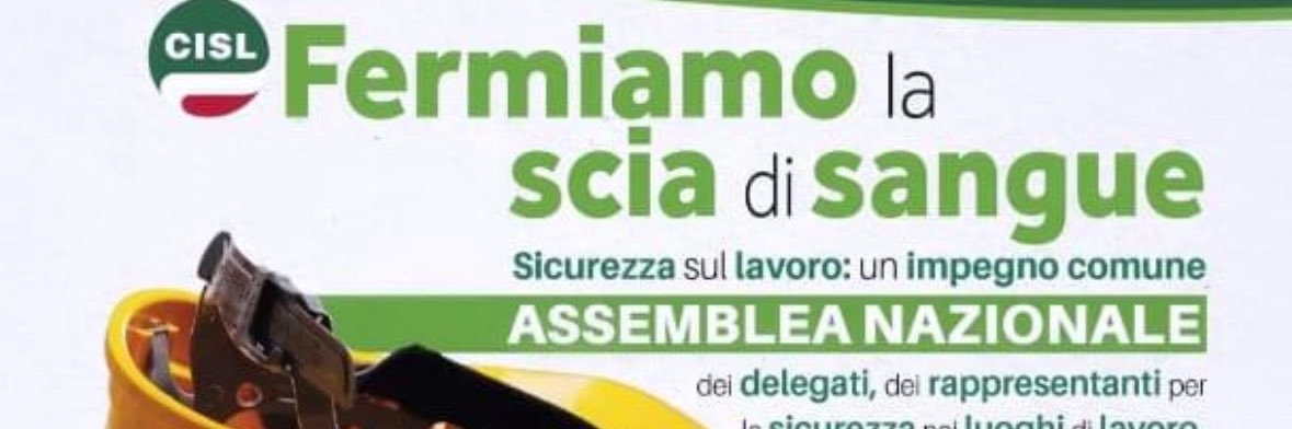 antonio Delle noci banner