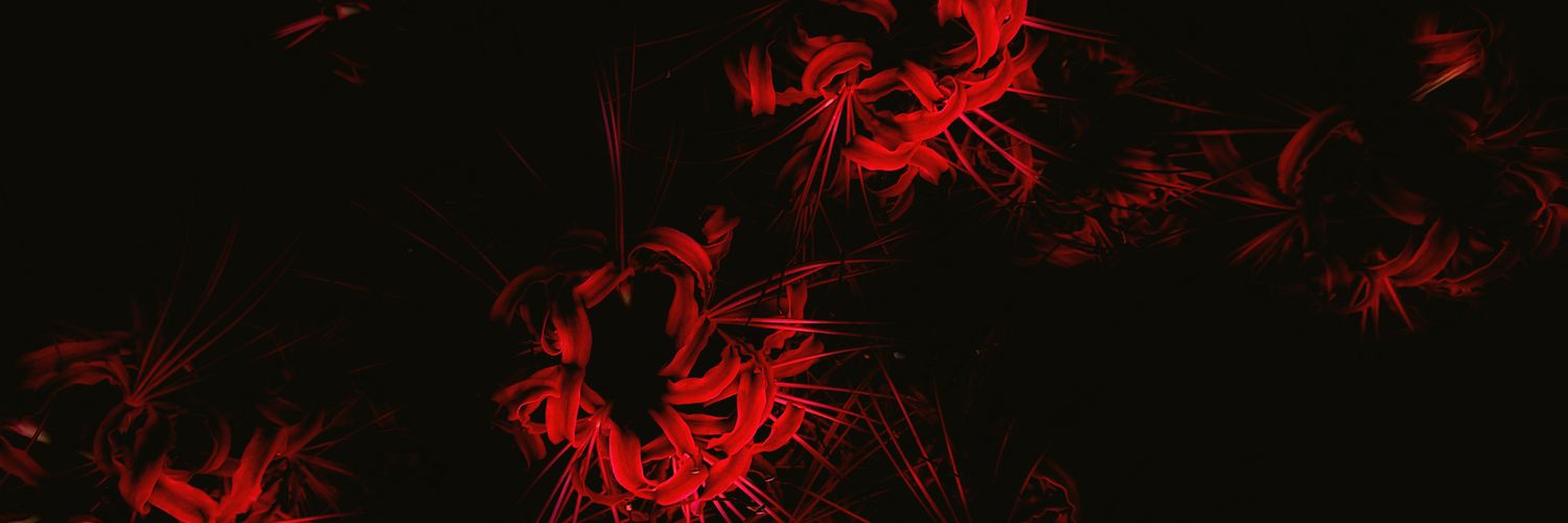 lisz_works's profile banner image