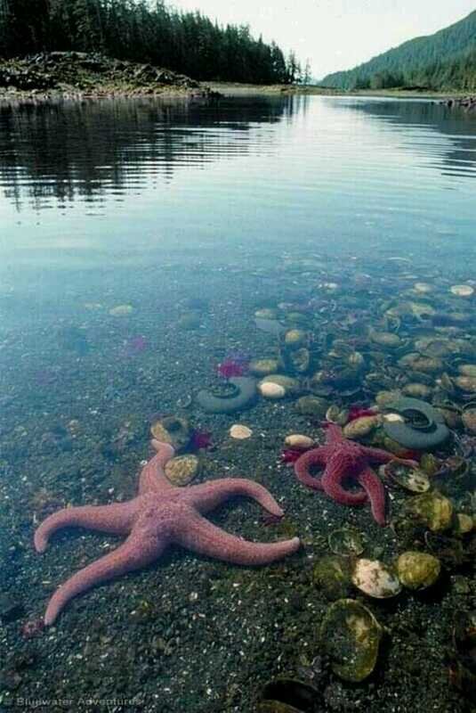 ⇜ مُوَجْ banner