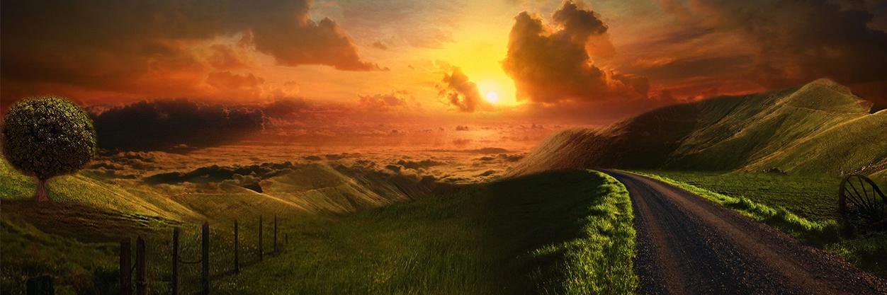 cboff24's profile banner image