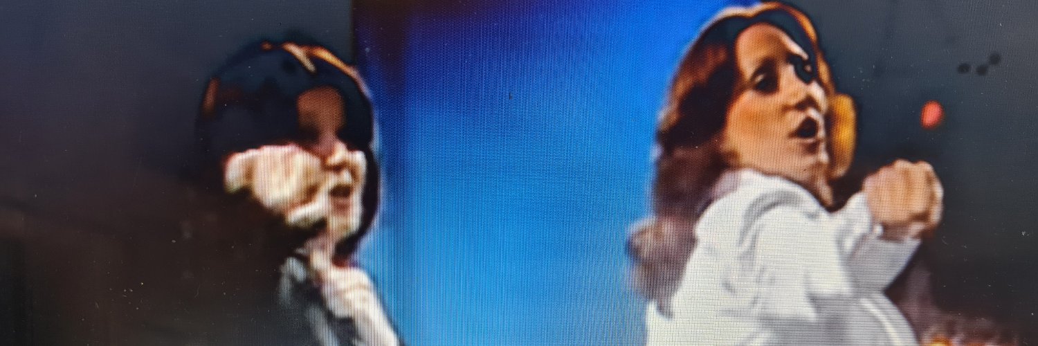 LadyHummingB's profile banner image