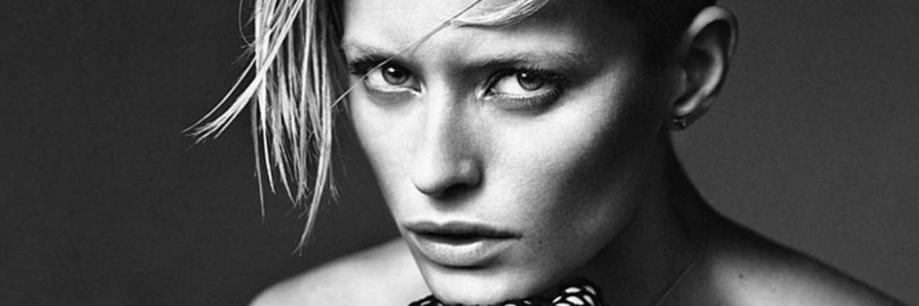 Jonathan Segade banner