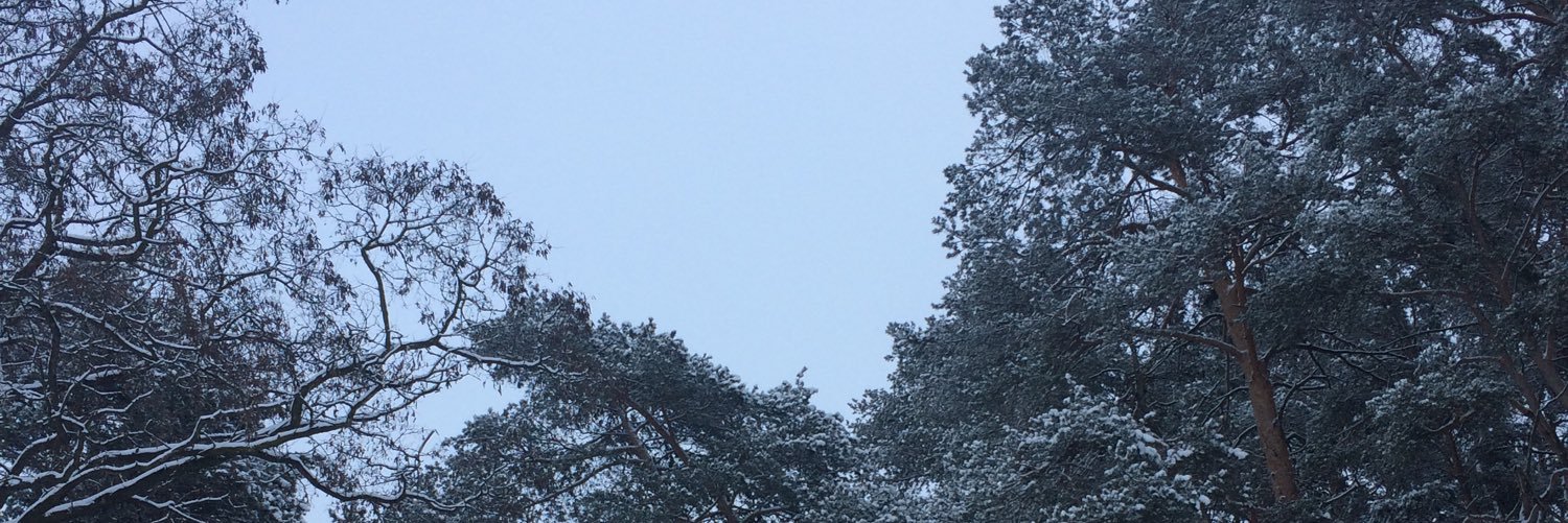 shumanenok's profile banner image