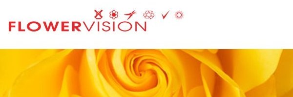 flowervisionsou's profile banner image