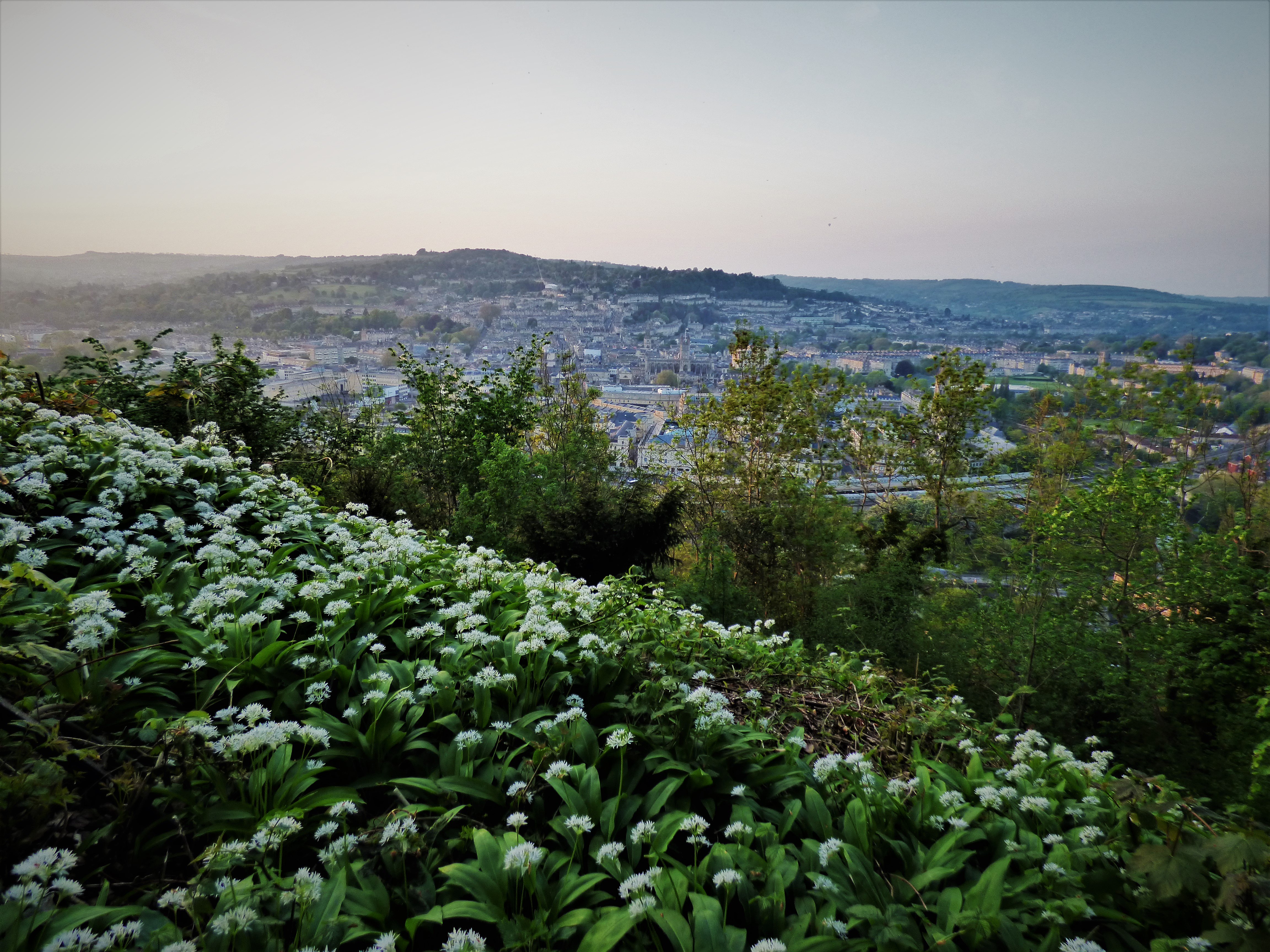 Meike Scheller banner