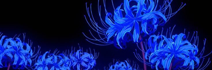 RavenFYRH's profile banner image