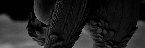 basicallyjergi's profile banner image