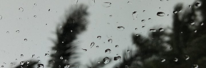 novensonn's profile banner image