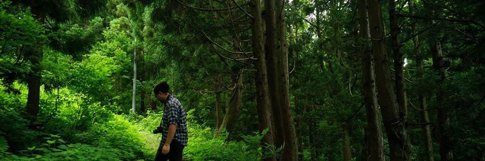 ProbablyGeorge's profile banner image