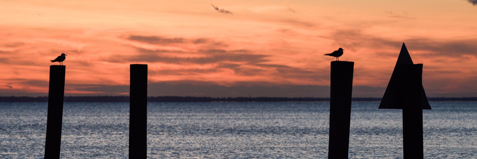 jojpa's profile banner image