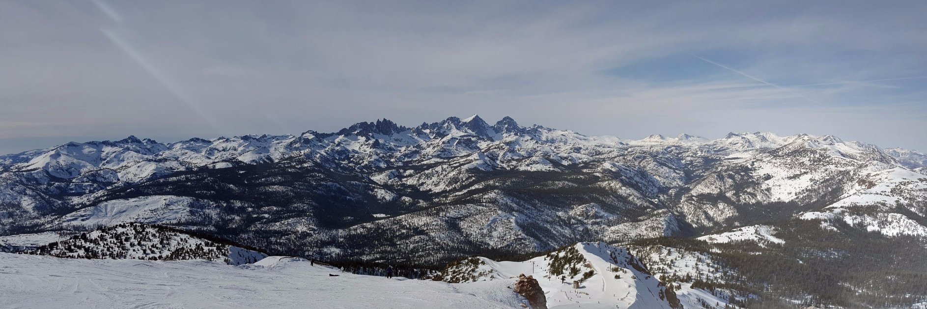 gingerbruin's profile banner image