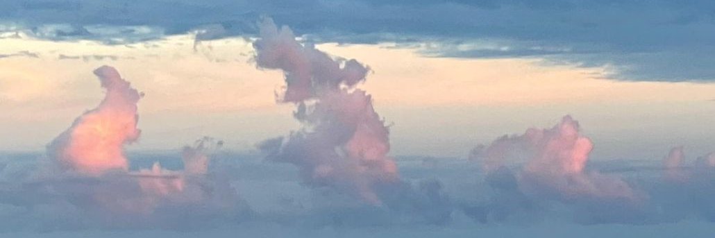 Annamoretti452's profile banner image