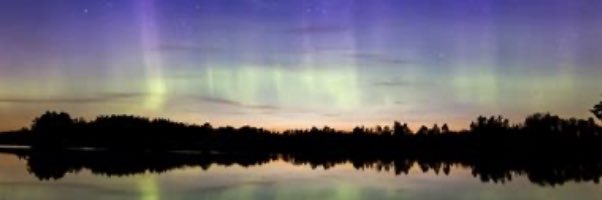Åsiktsoraklet 🇸🇪 banner