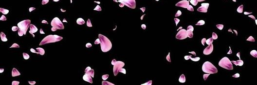 Yndya_'s profile banner image