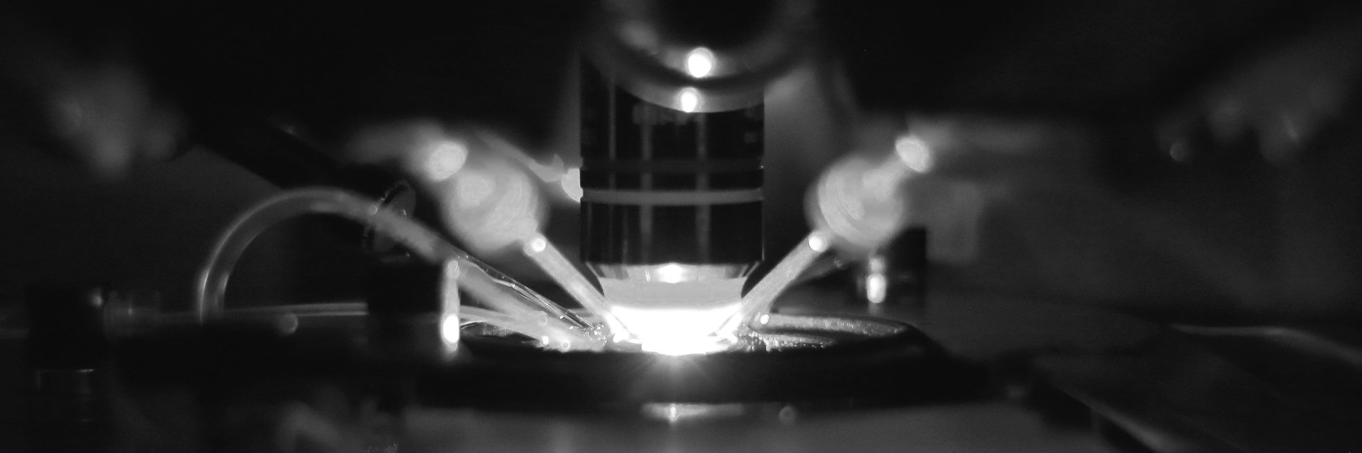 Matthijs Dorst banner