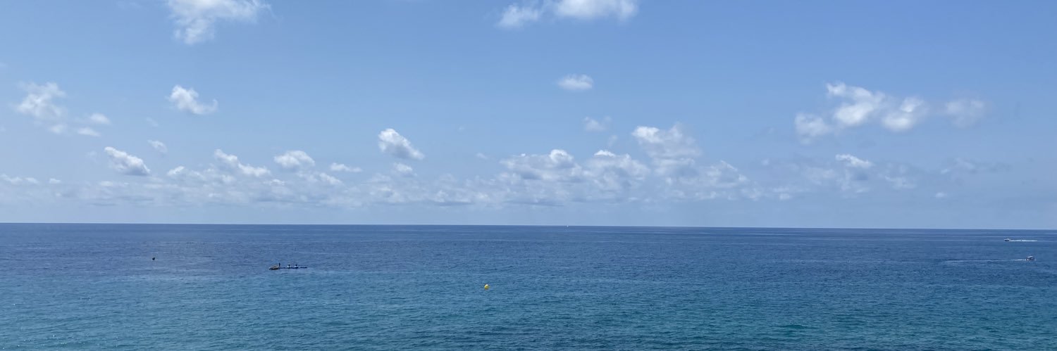 llareov's profile banner image