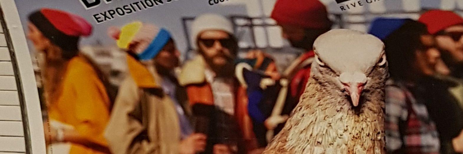 LaurentCaselli's profile banner image