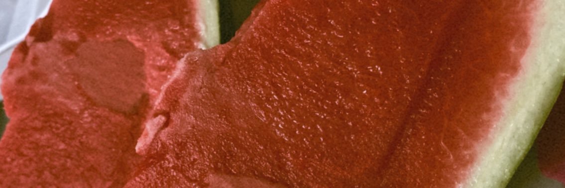 bitkidoktoruu's profile banner image