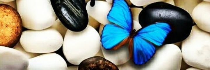 anbuba2015's profile banner image