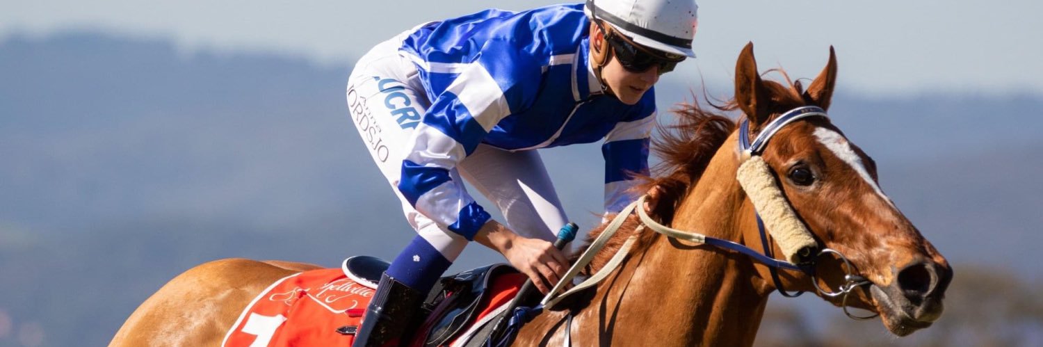 Anna Jordsjo banner