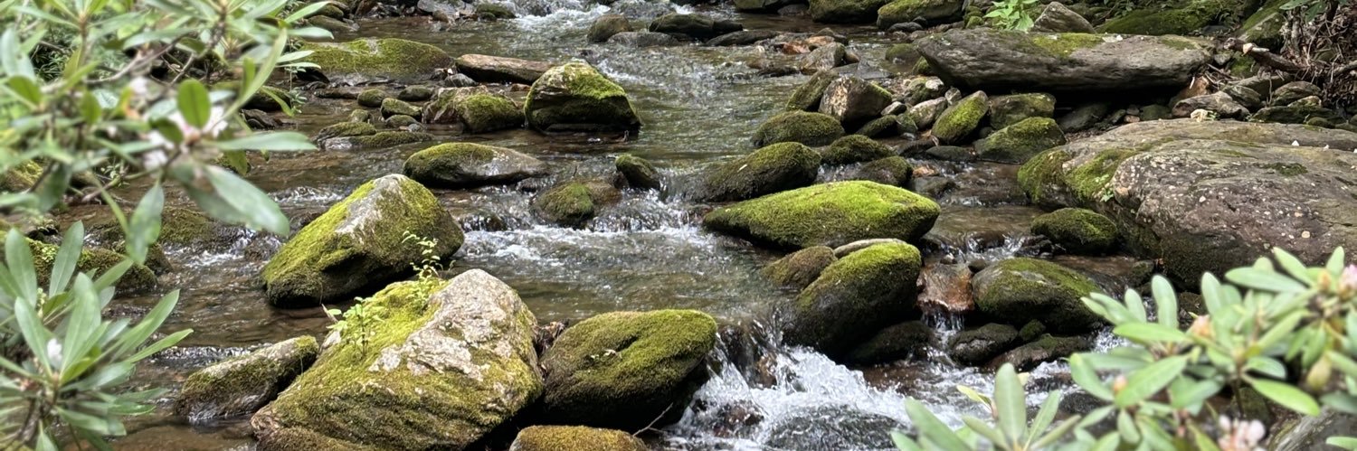 Heather Giles🦋 @srachiles.bsky.social banner