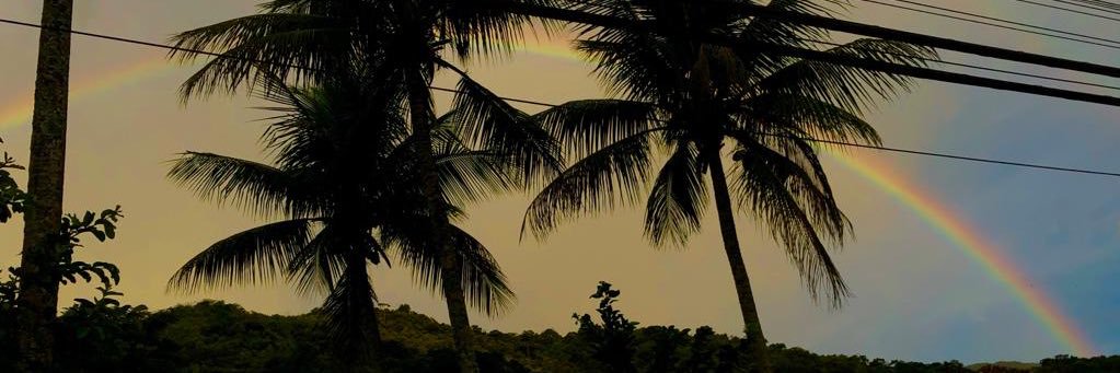 fefimoreir's profile banner image