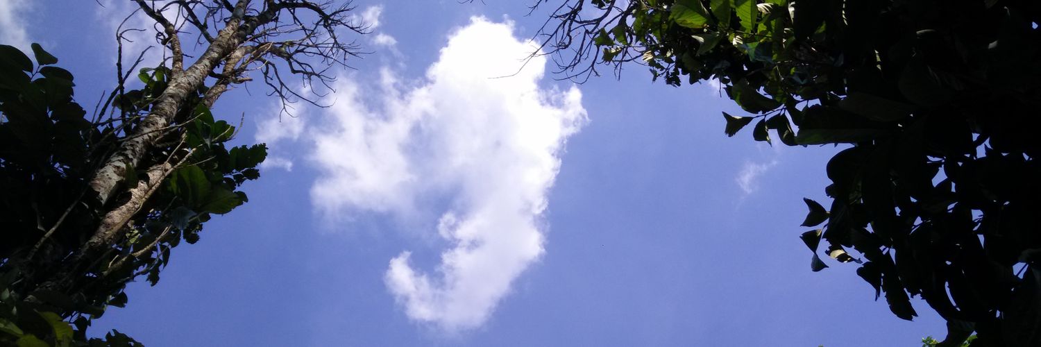 HnyWani's profile banner image