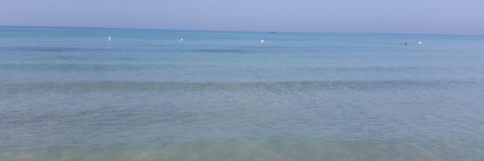 PasAlfano72's profile banner image