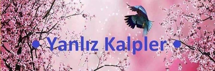 baris5428's profile banner image