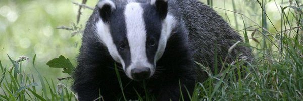 RobJHeaton Profile Banner