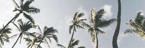 xyentebokma's profile banner image