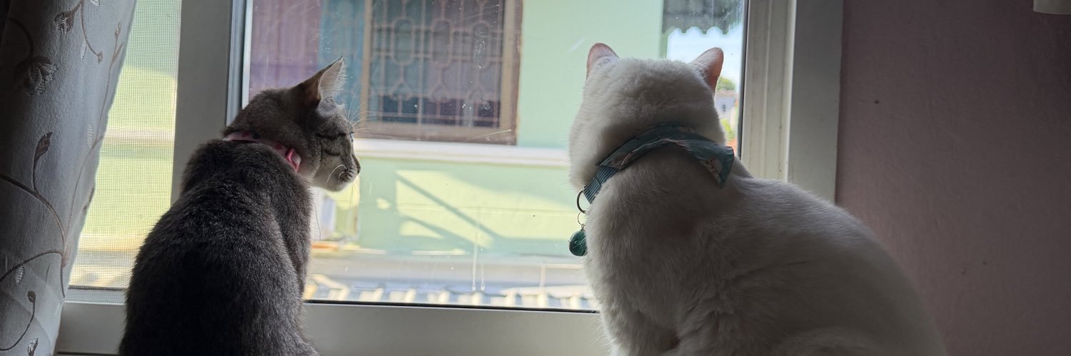 Bowaupsorn's profile banner image