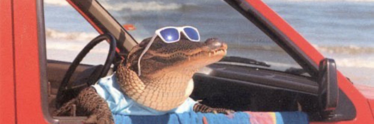 franzelgarrett3's profile banner image
